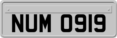 NUM0919