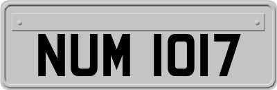 NUM1017