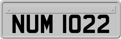NUM1022