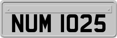 NUM1025