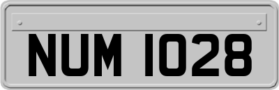 NUM1028