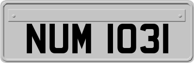NUM1031