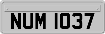NUM1037