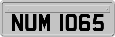 NUM1065
