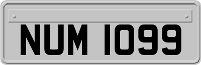 NUM1099