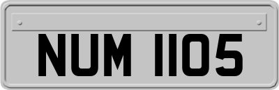 NUM1105