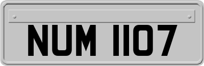 NUM1107