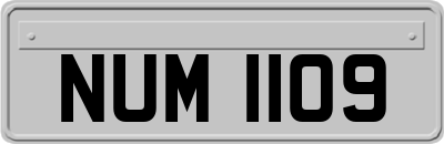 NUM1109