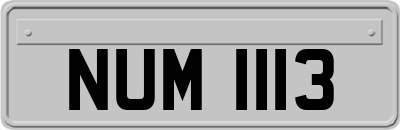 NUM1113