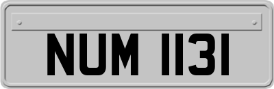 NUM1131