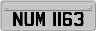 NUM1163