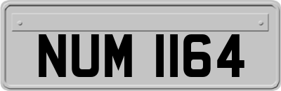 NUM1164