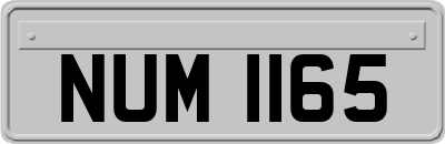 NUM1165