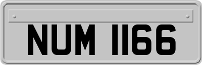 NUM1166