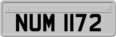 NUM1172