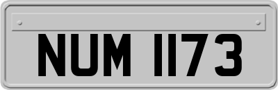 NUM1173