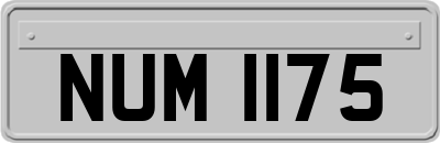NUM1175