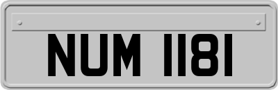 NUM1181