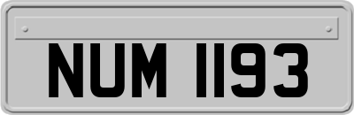 NUM1193