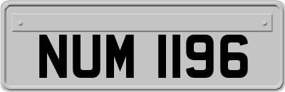 NUM1196
