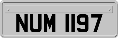 NUM1197