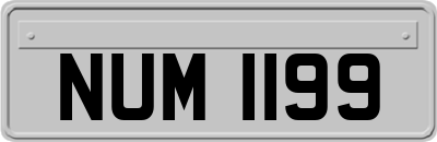 NUM1199