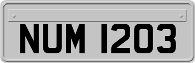 NUM1203