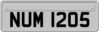NUM1205