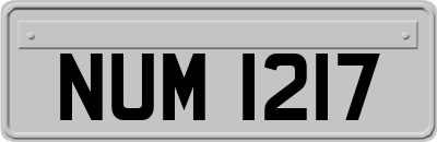 NUM1217