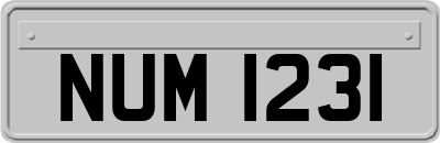 NUM1231