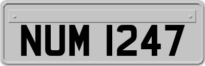NUM1247