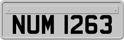 NUM1263