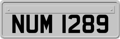NUM1289