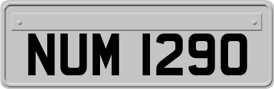 NUM1290
