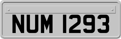 NUM1293