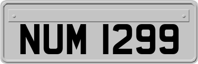 NUM1299