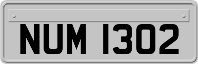 NUM1302