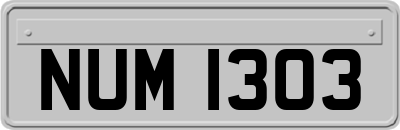 NUM1303