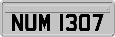 NUM1307