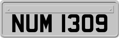 NUM1309