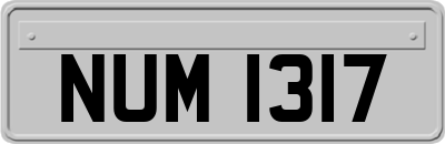 NUM1317