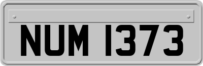 NUM1373