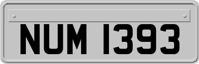 NUM1393