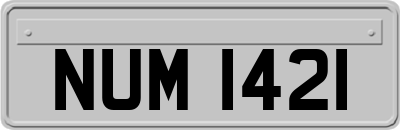 NUM1421