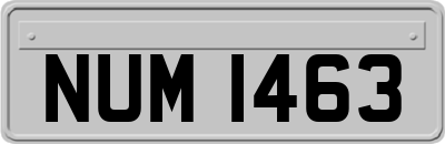 NUM1463