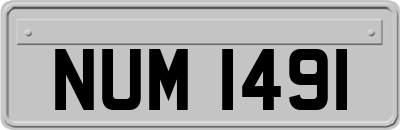 NUM1491