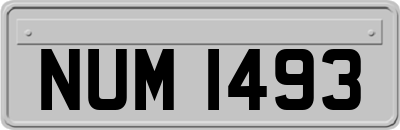NUM1493