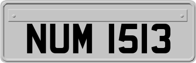 NUM1513
