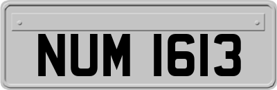NUM1613
