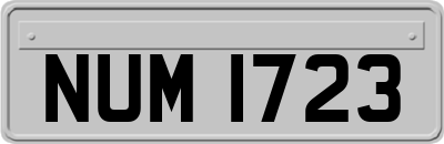 NUM1723
